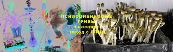дмт Алексеевка