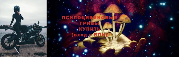 spice Алексин