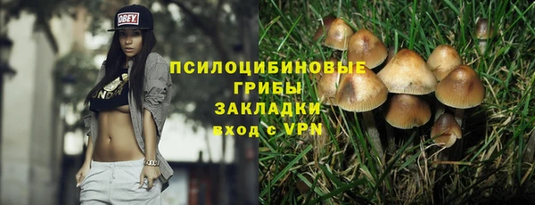 СК Заволжск