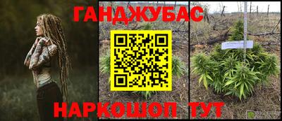 наркотики Кингисепп