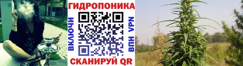 Бошки Шишки семена  Котлас 
